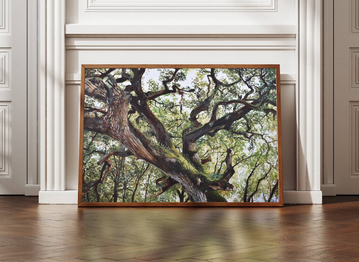 Cork Oak fine art print