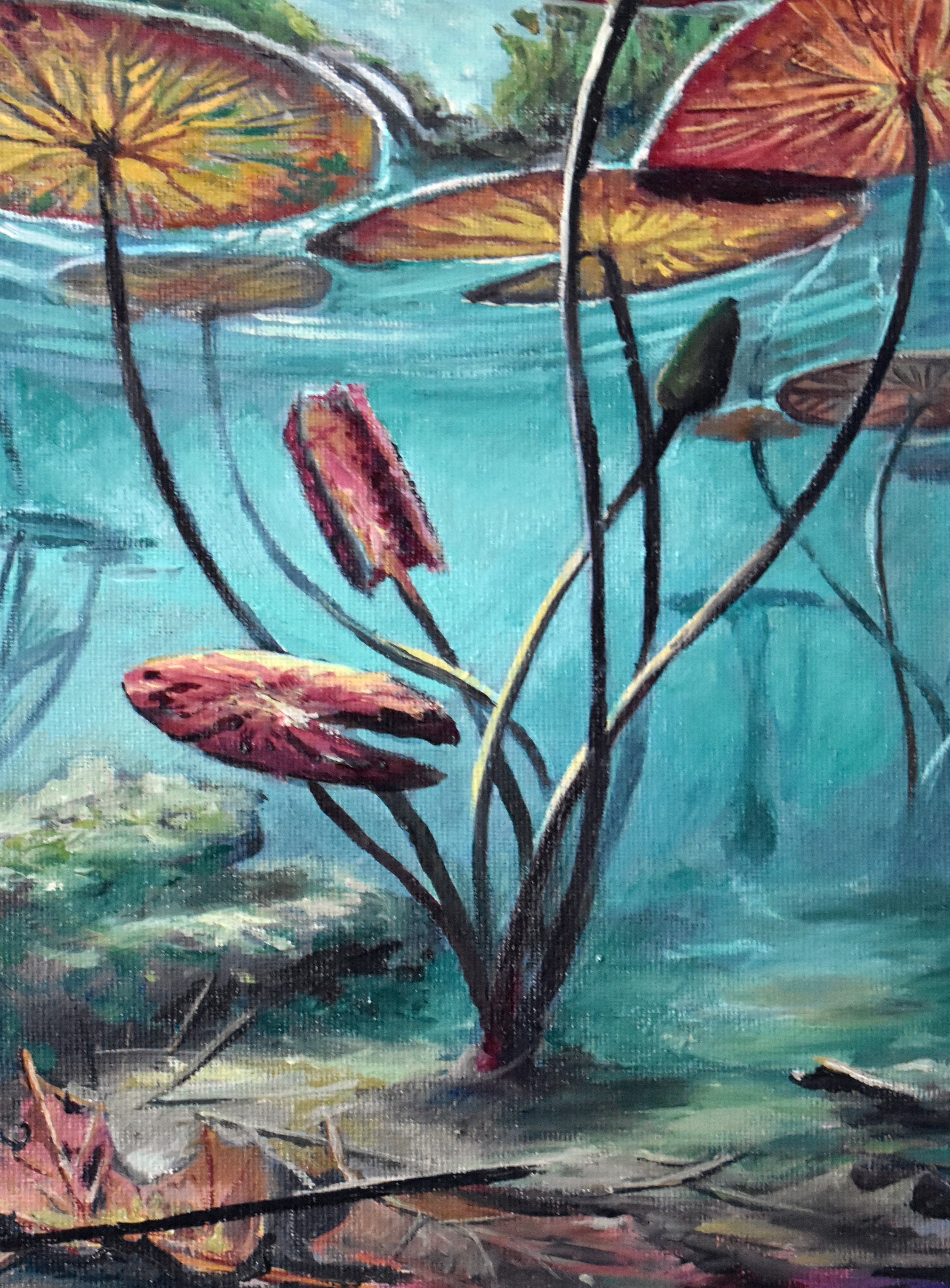 Under Water Lilies I fine art print