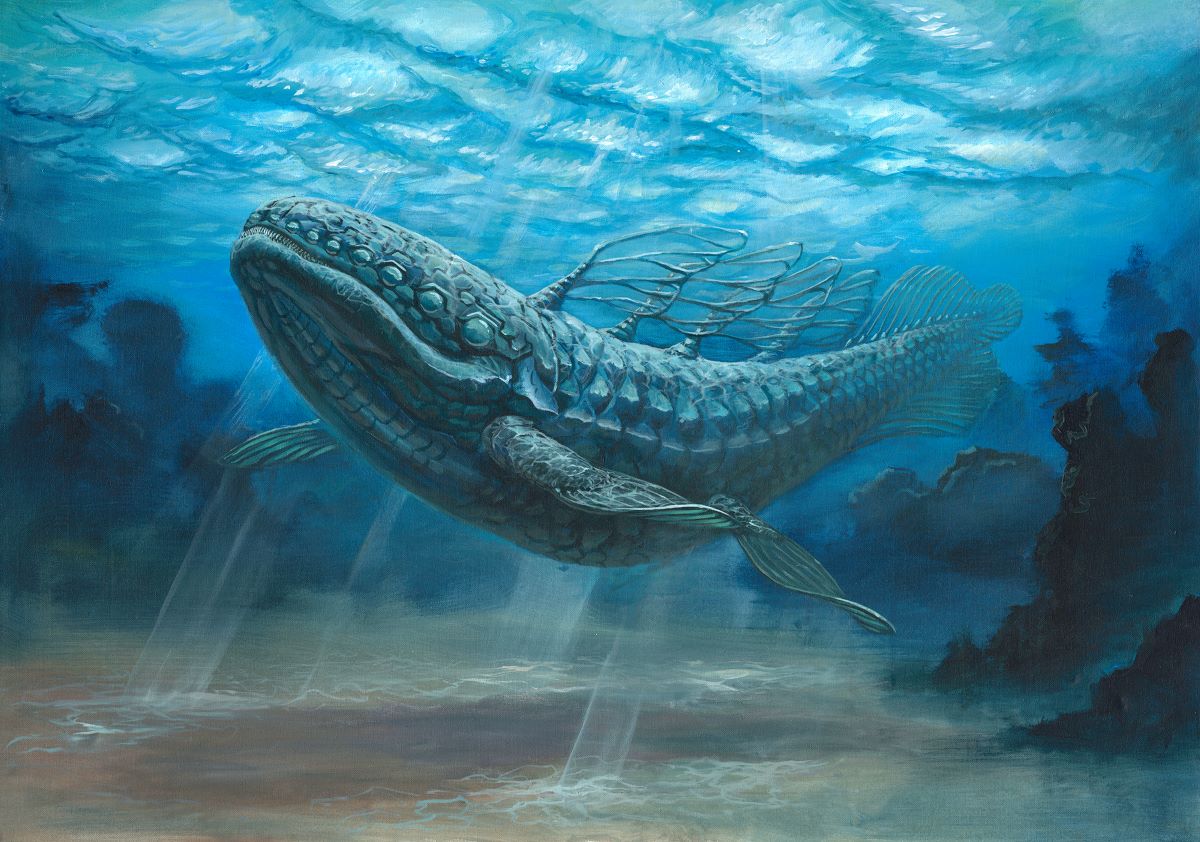 Coelacanth fine art print