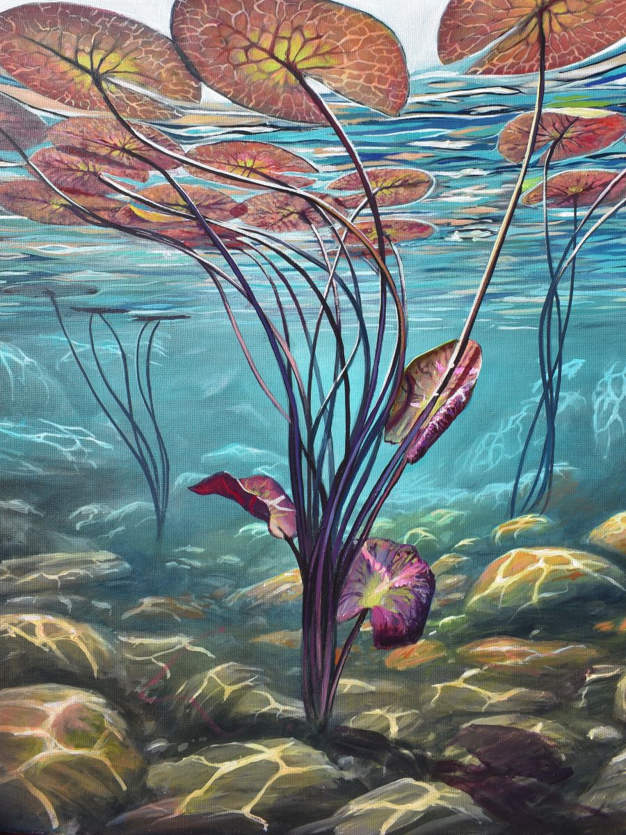 Under Water Lilies IV fine art print