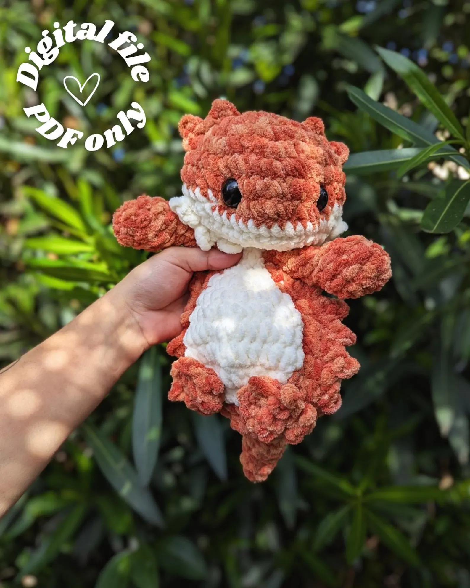 Pogon the bearded dragon