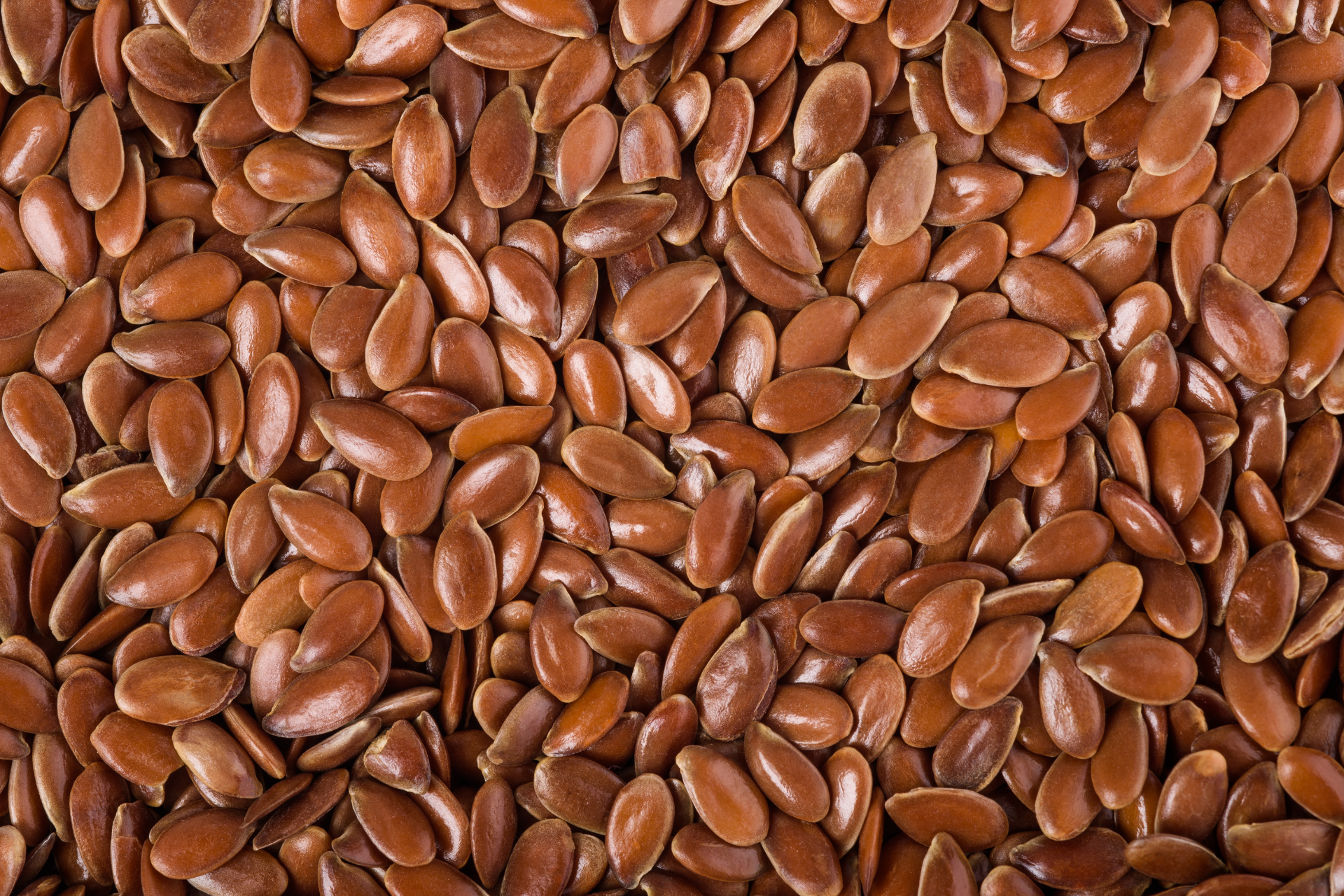 Graines de lin 500 g