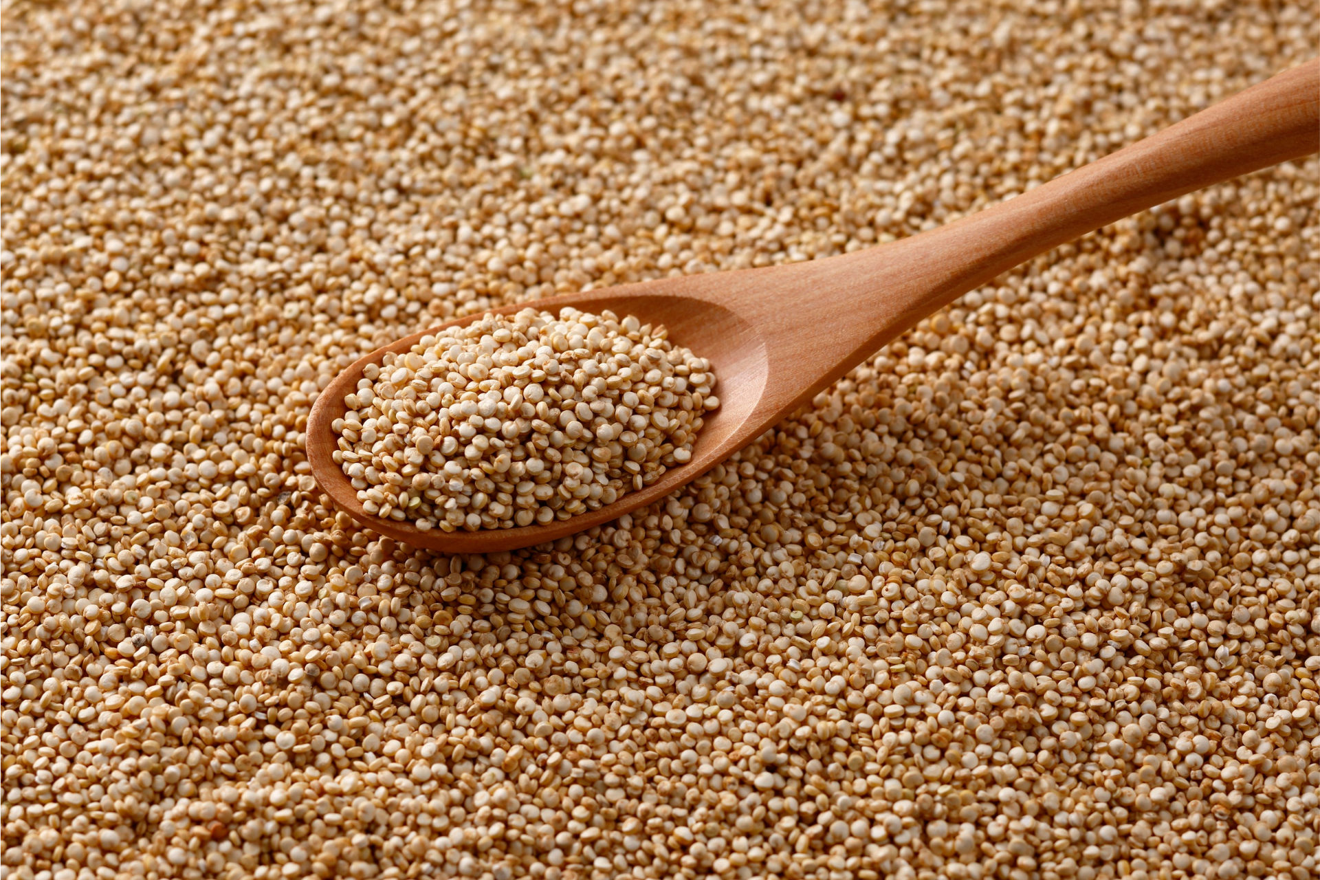 Graines de quinoa 500 g