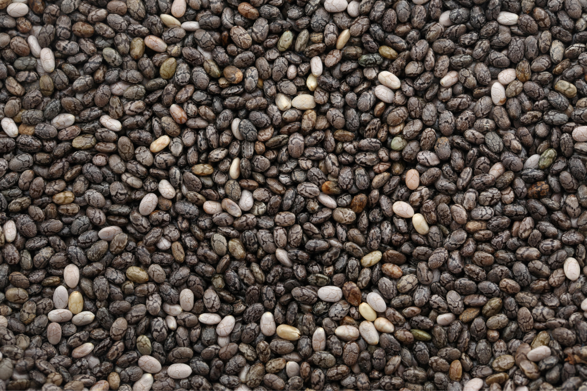 Graines de chia 500 g