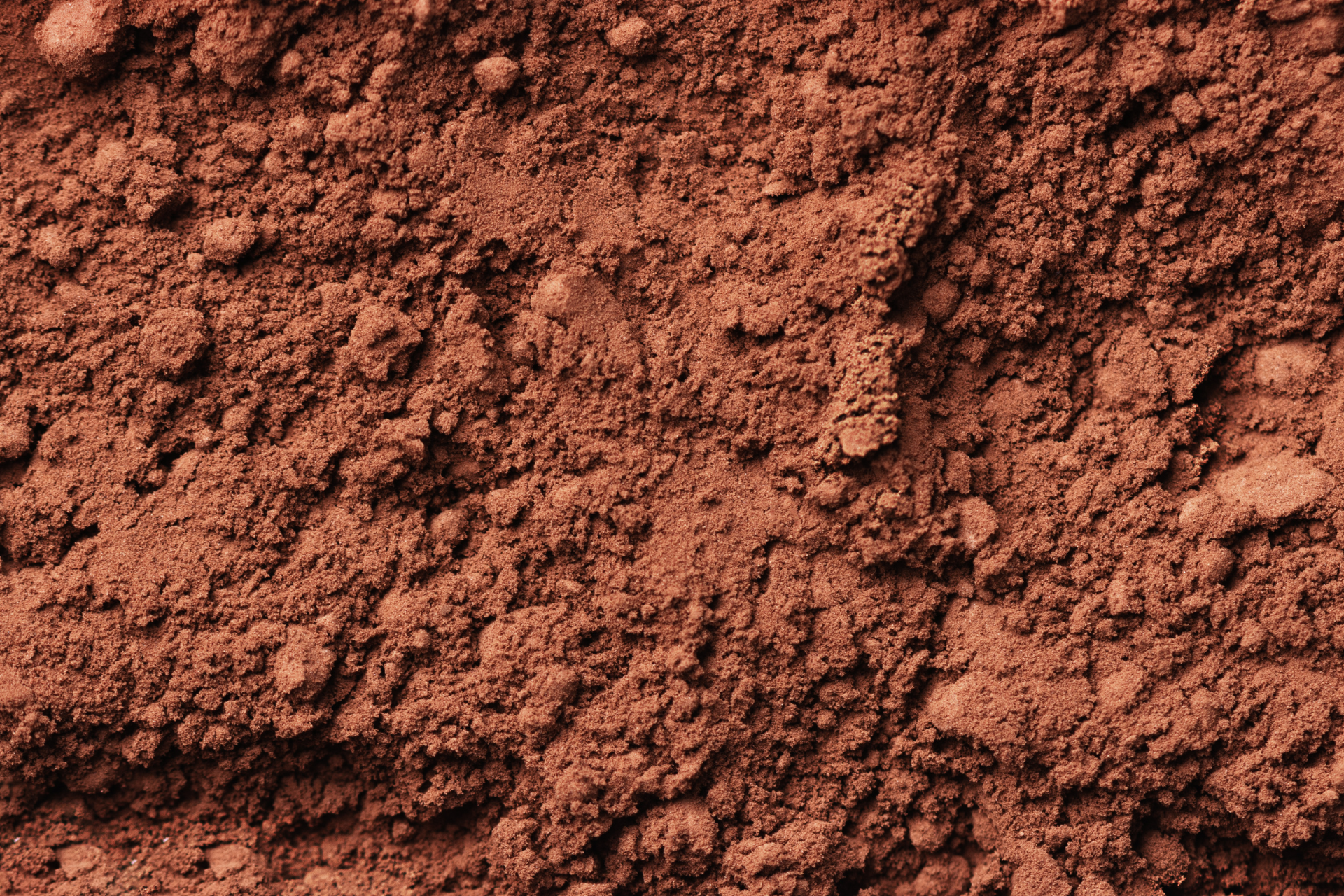 Cacao en poudre non torréfié 500 g