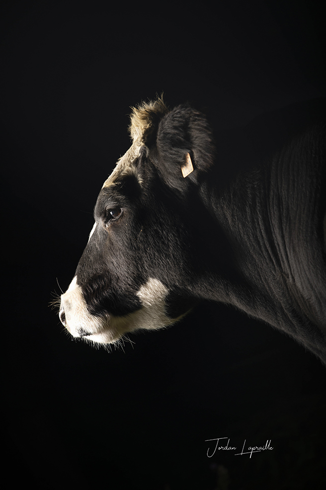 Silence noir sur blanc