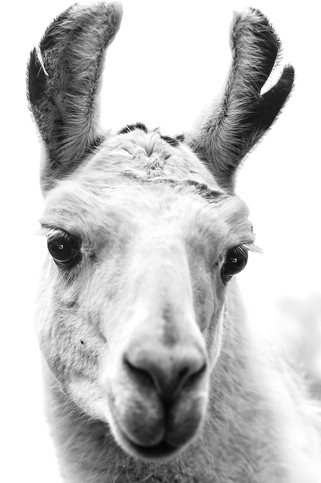 Entre ciel et crachat