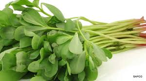 Purslane (gangavelli kura)
