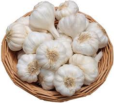 garlic