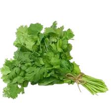 coriander leaves (kothimiru)