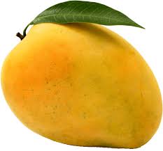  Mango