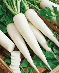  Radish