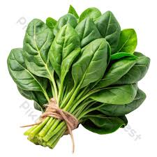  Spinach