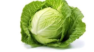 cabbage