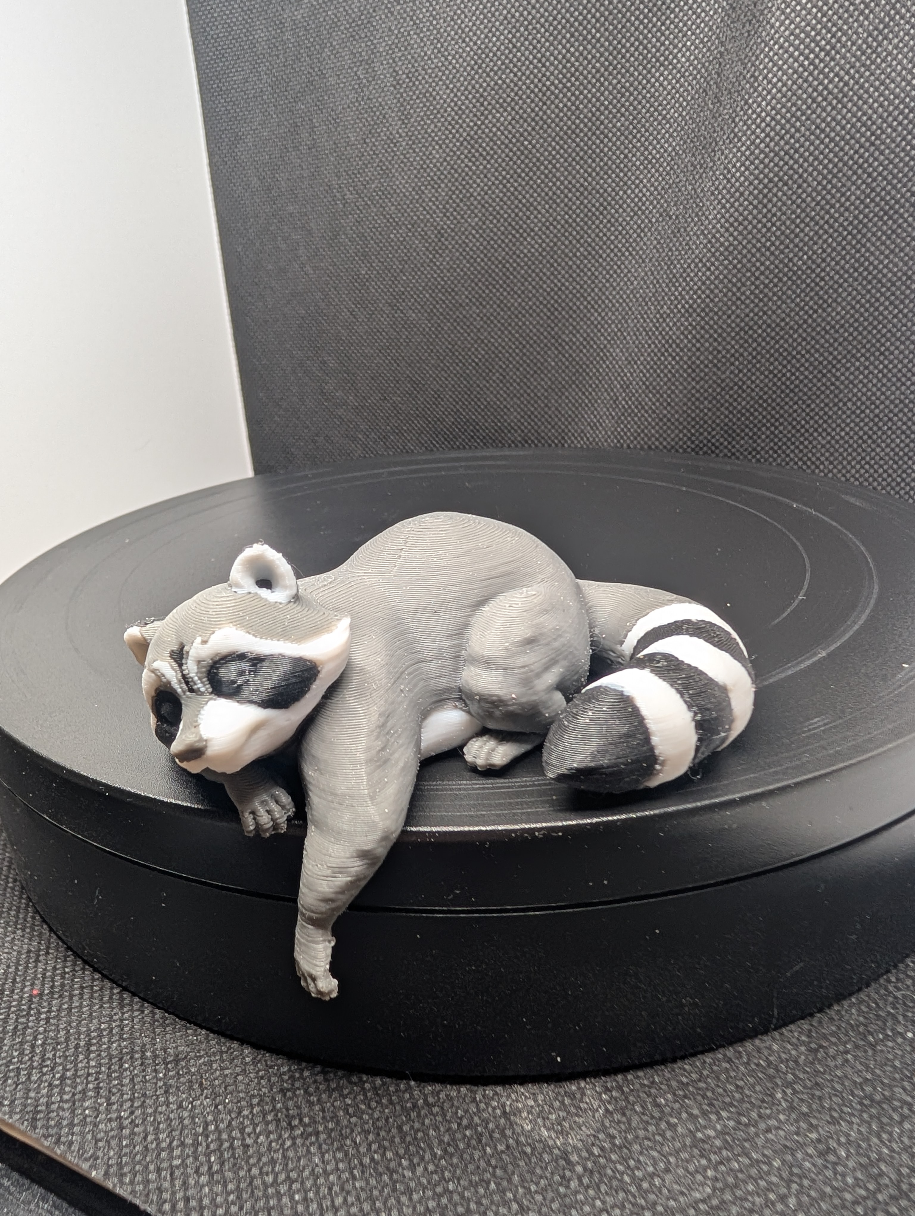 Sleepy Trash Panda 