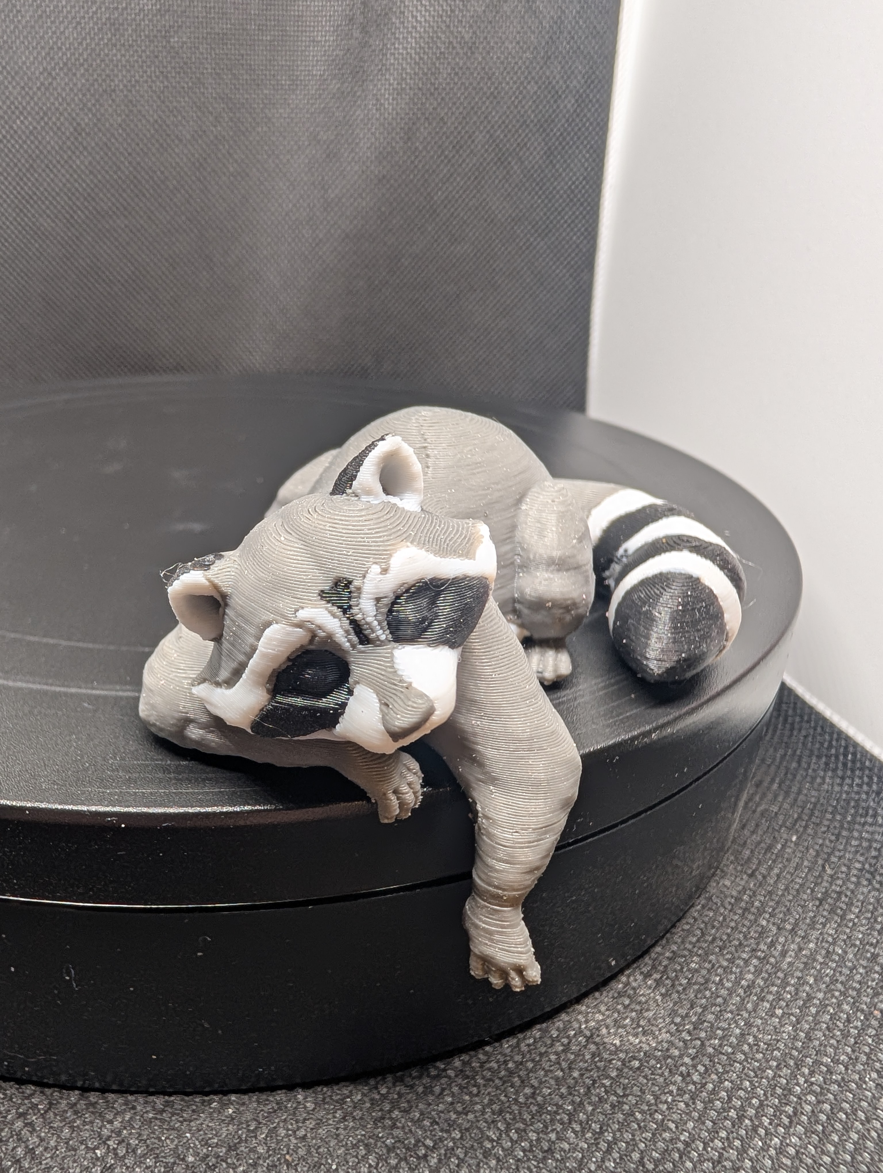 Sleepy Trash Panda 