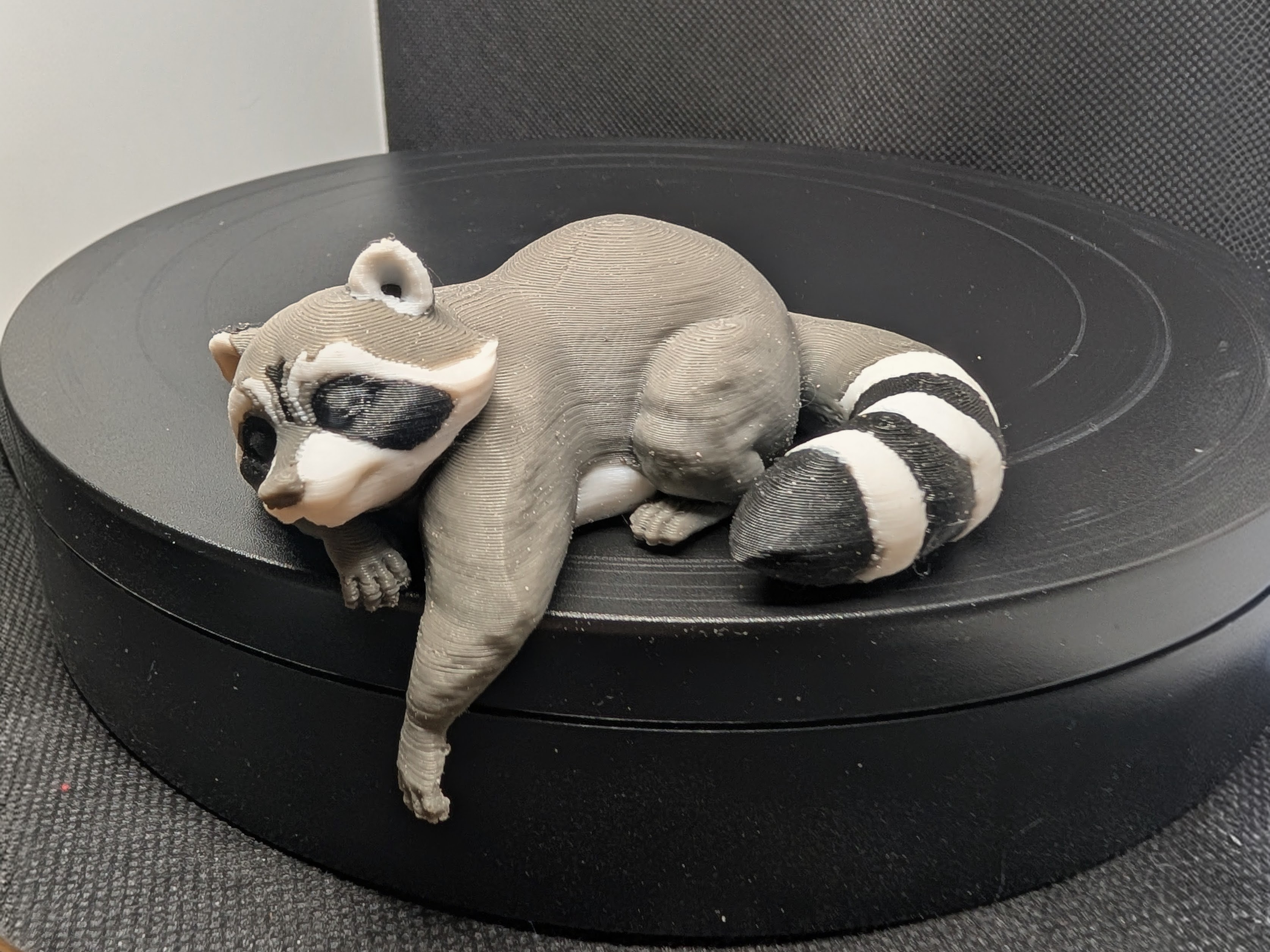 Sleepy Trash Panda 