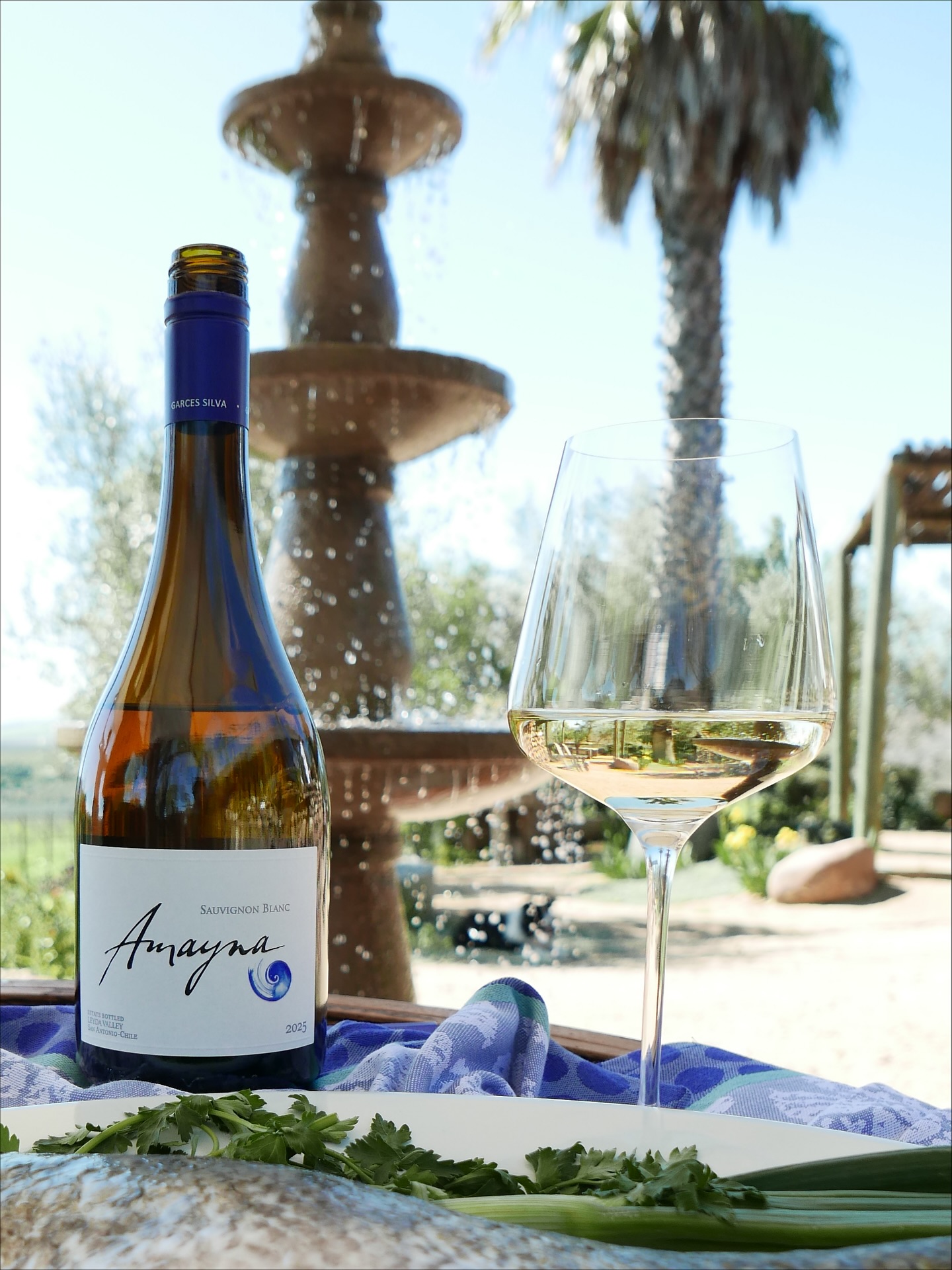 Amayna Sauvignon Blanc