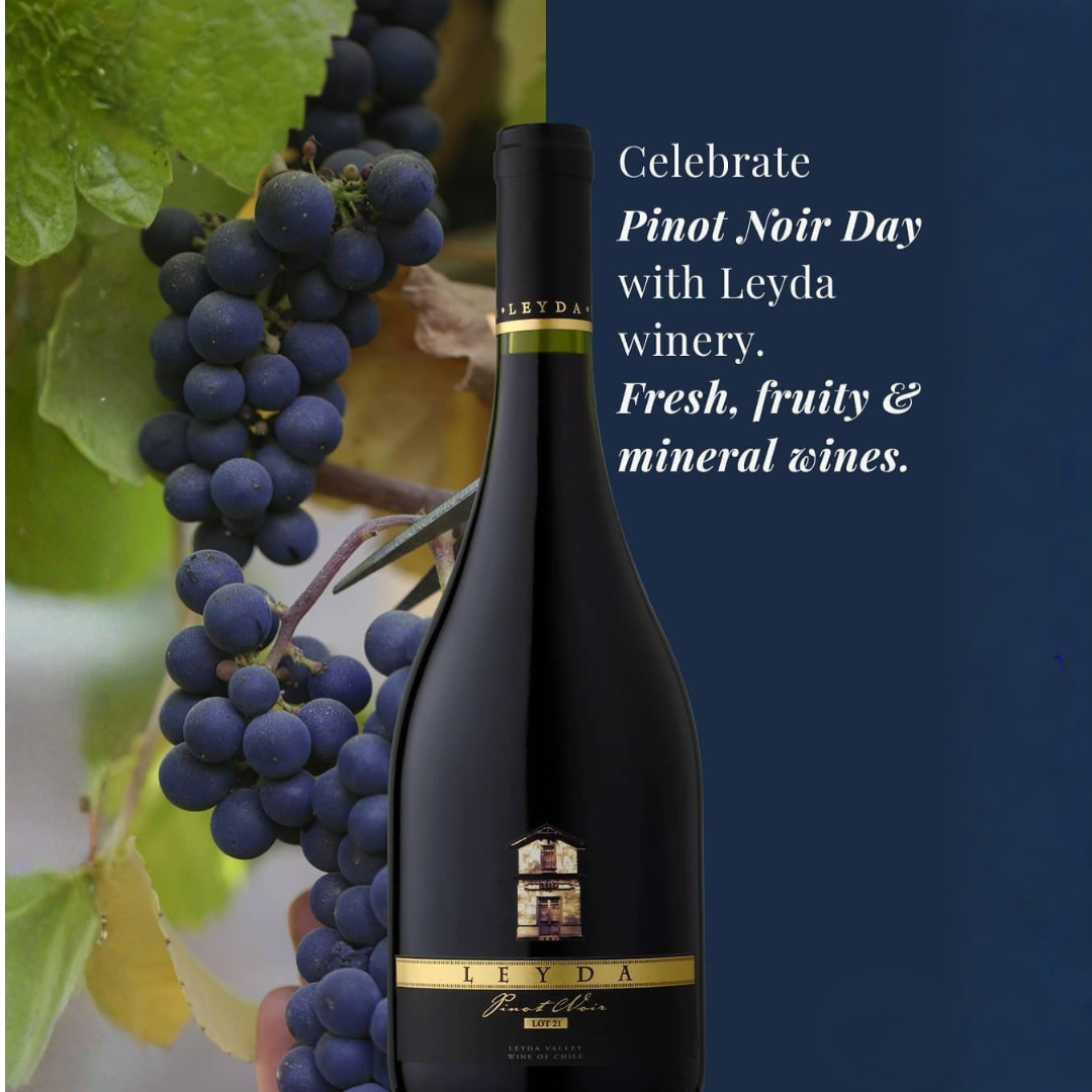 Leyda Pinot Noir Lot 21