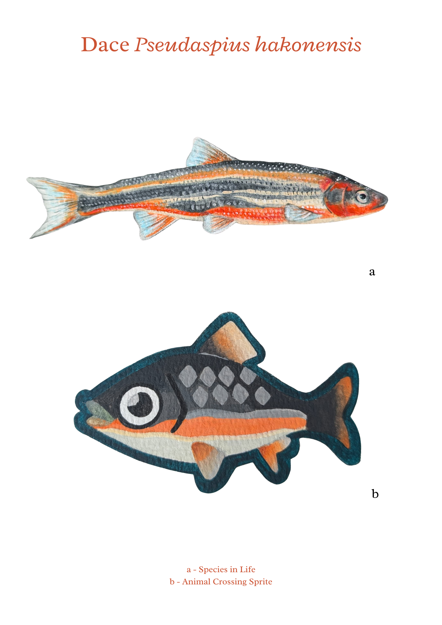 Gouache Painting Dace - A4 Print 