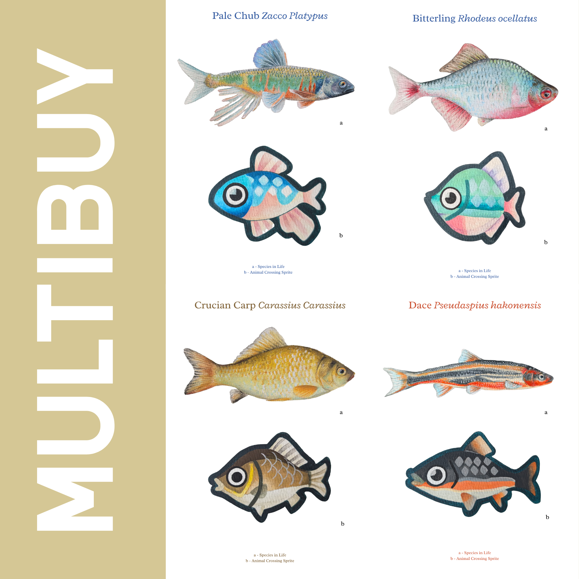 Set of 4 Fish Gouache Painting Prints