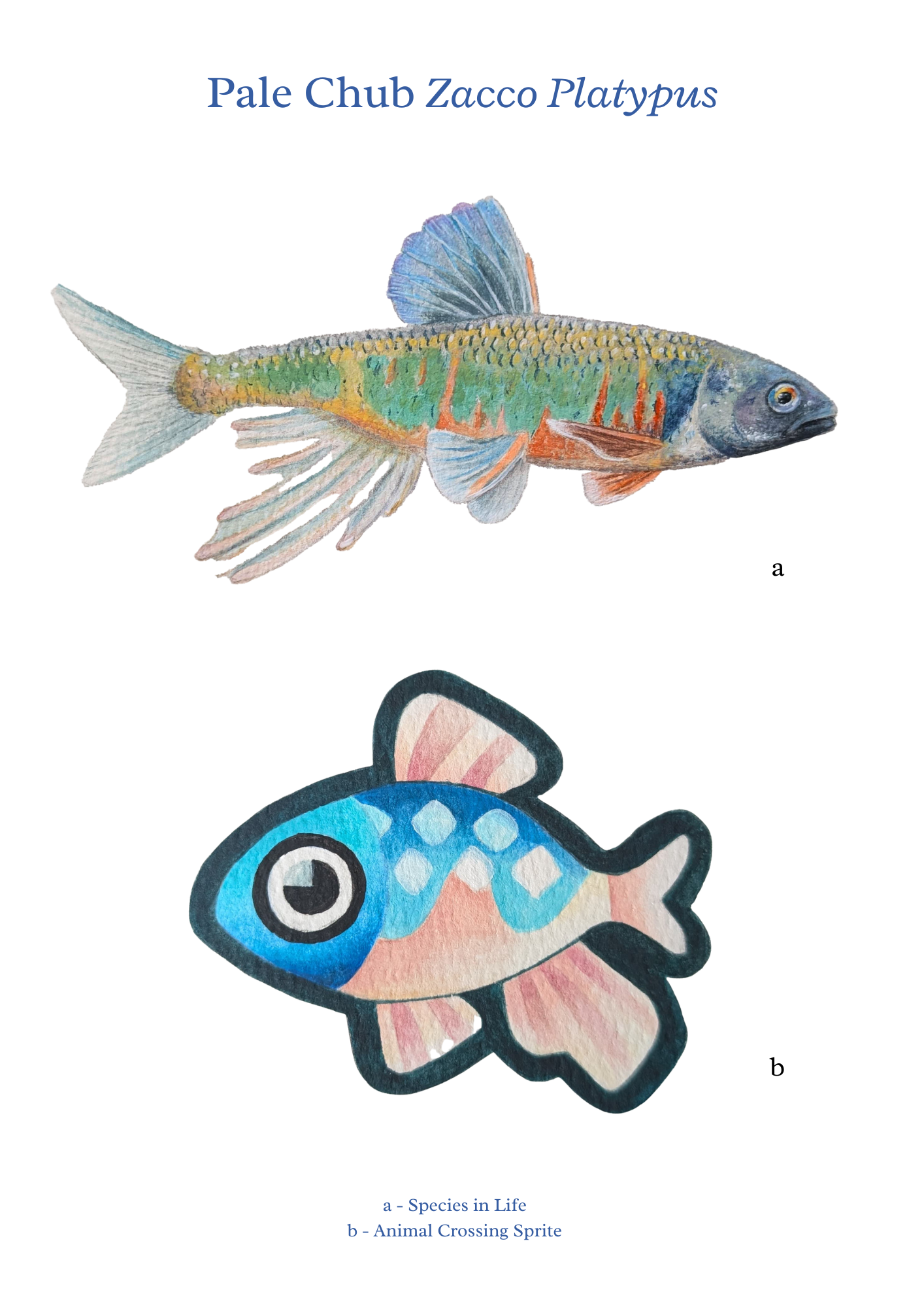 Gouache Painting Pale Chub - A4 Print 