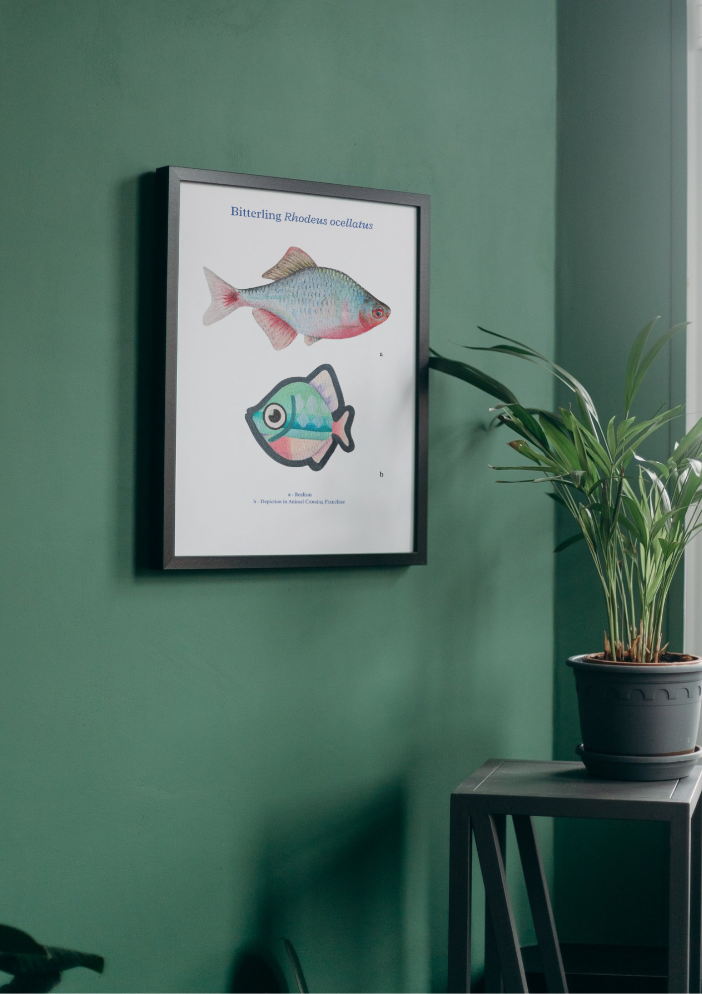 Gouache Painting Bitterling - A4 Print