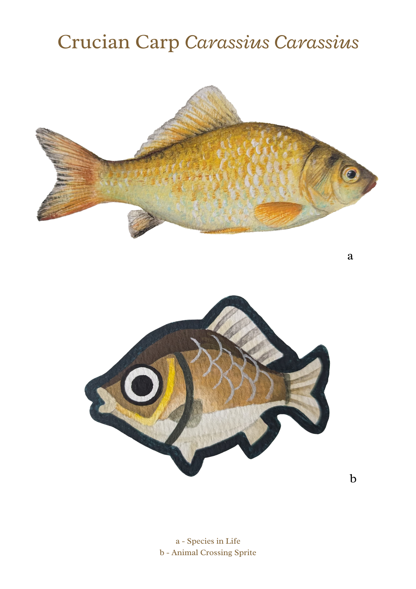 Gouache Painting Crucian Carp - A4 Print 