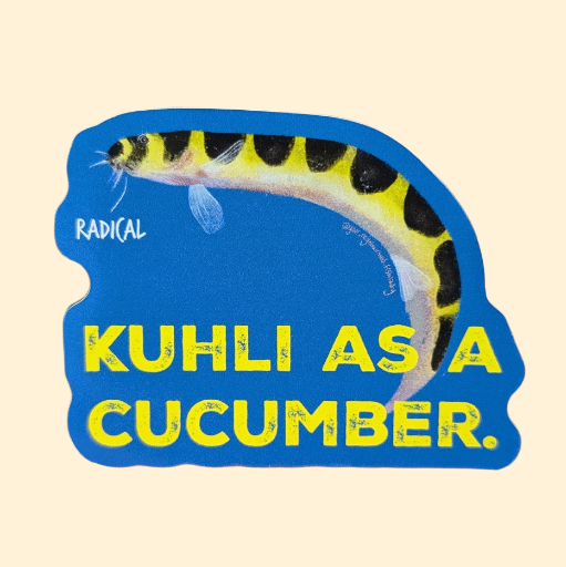 Kuhli Loach - Cool Fish Sticker