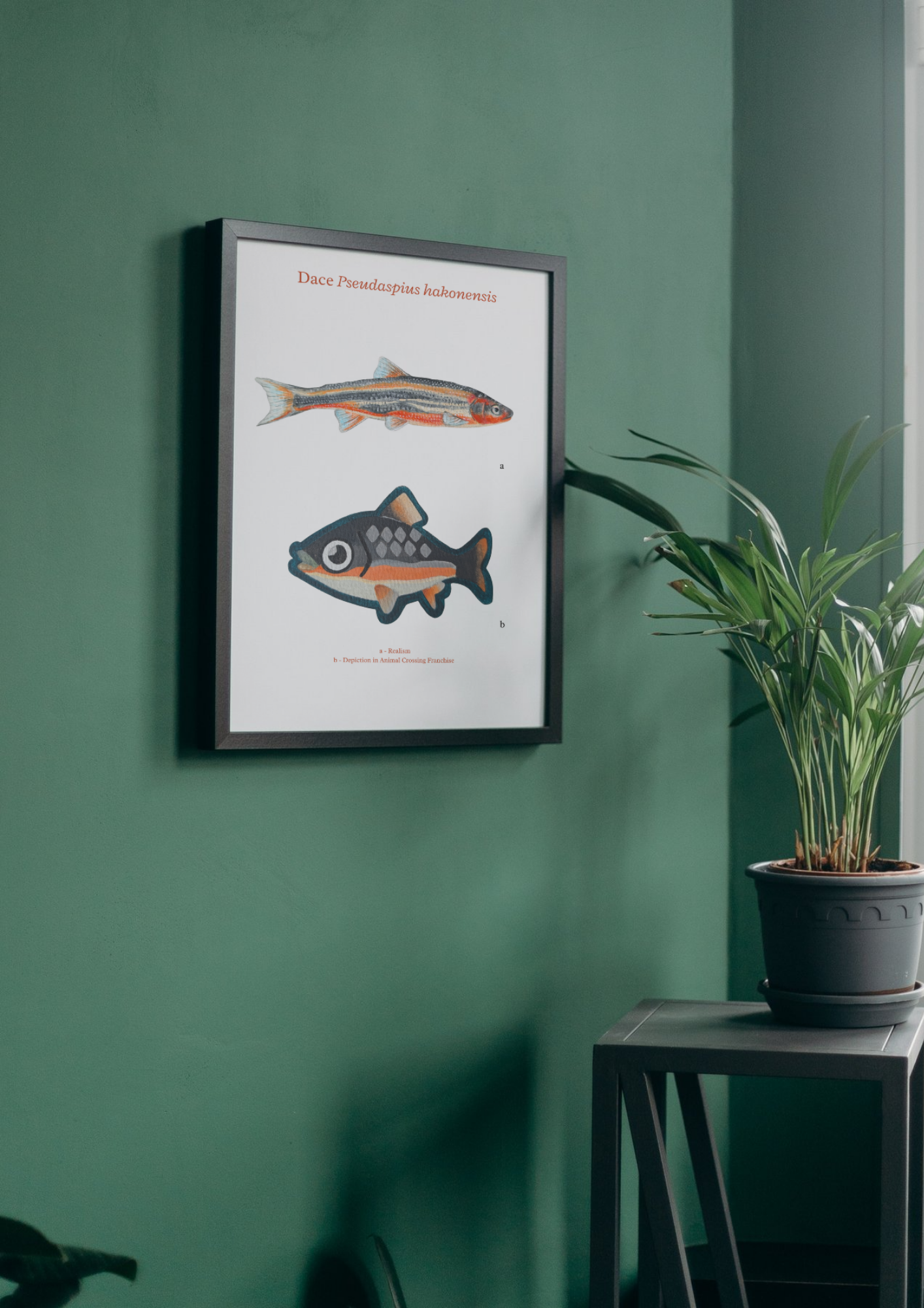 Gouache Painting Dace - A4 Print