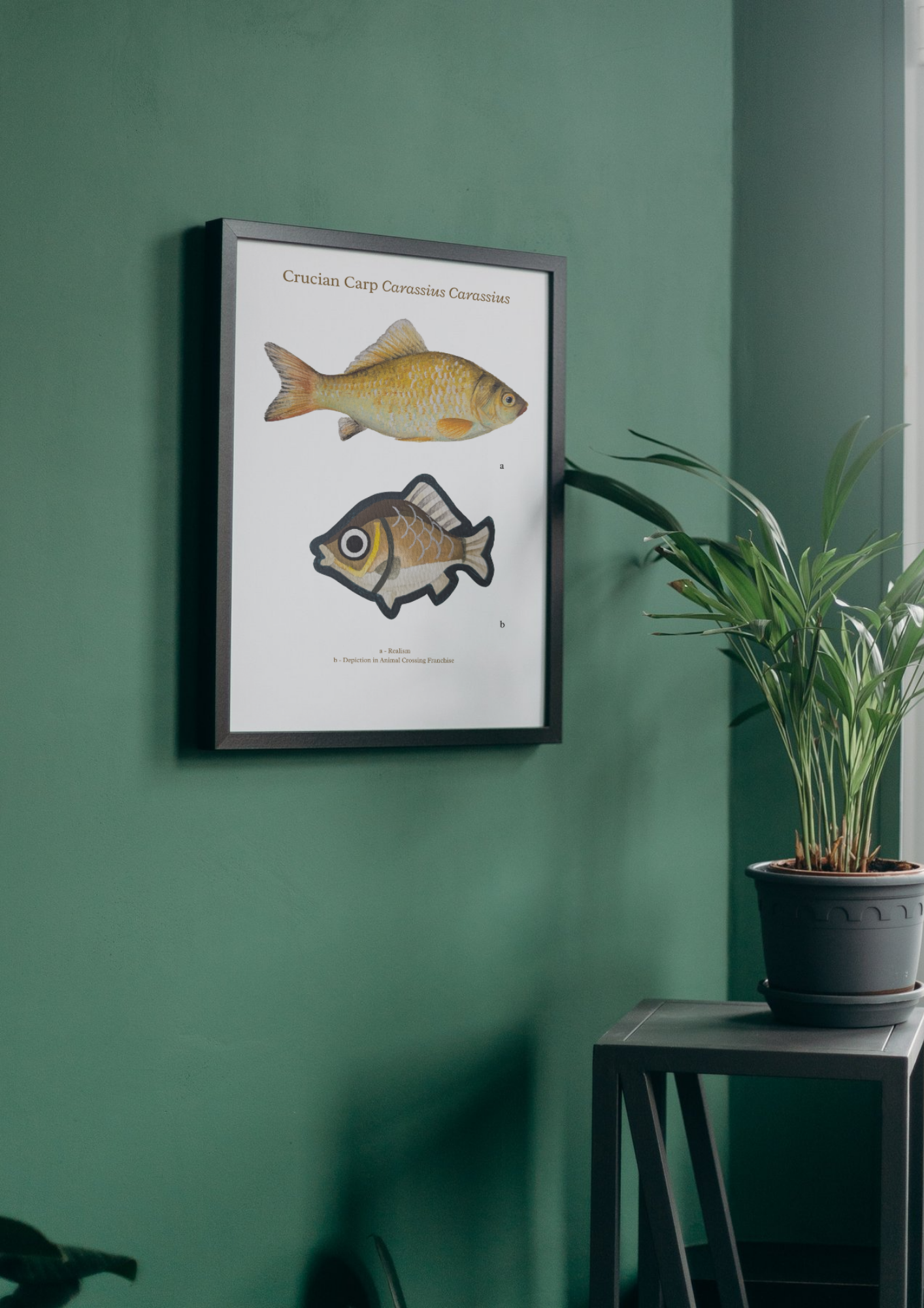 Gouache Painting Crucian Carp - A4 Print