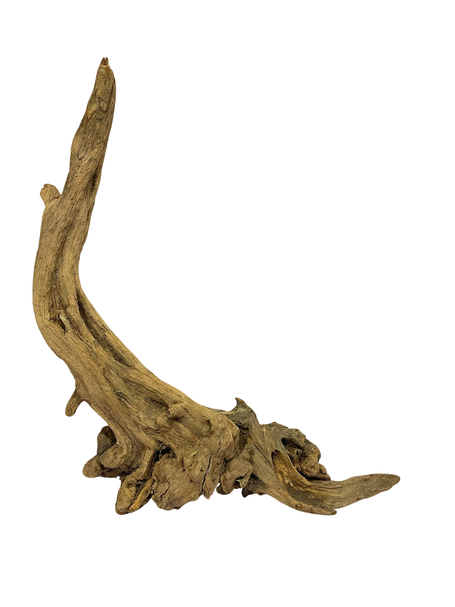 Tronco decorativo natural