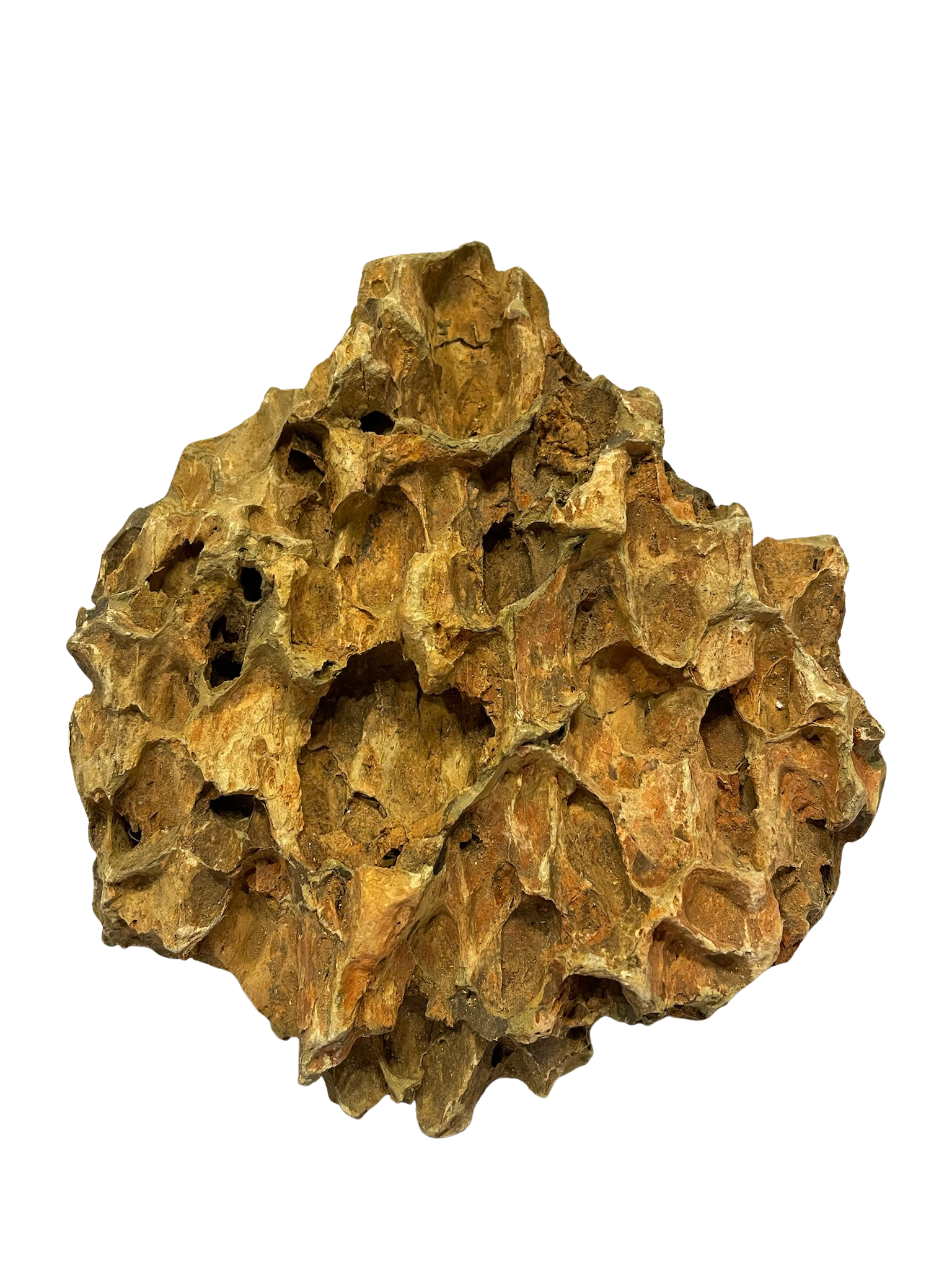 Roca decorativa natural