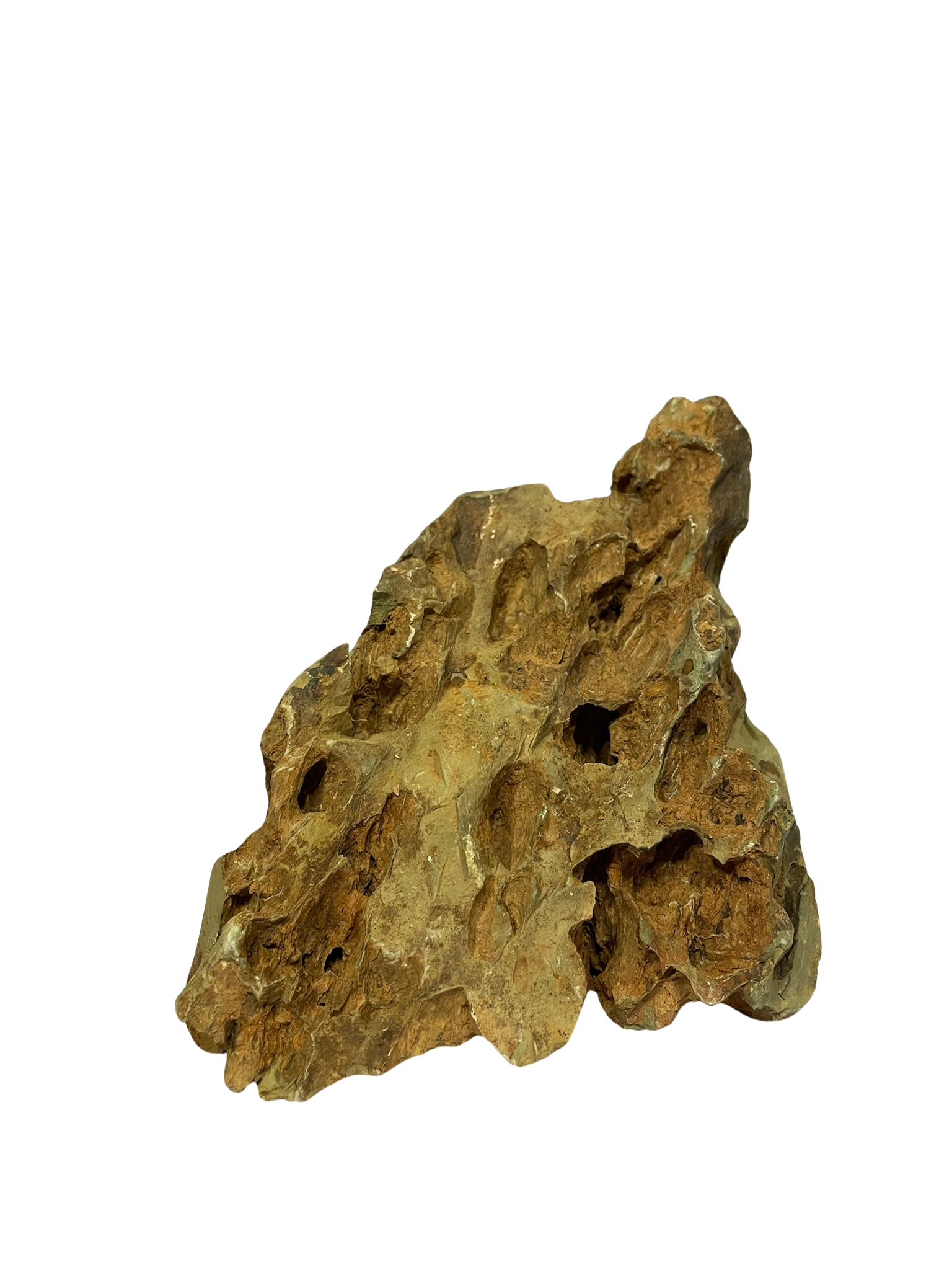 Roca decorativa natural