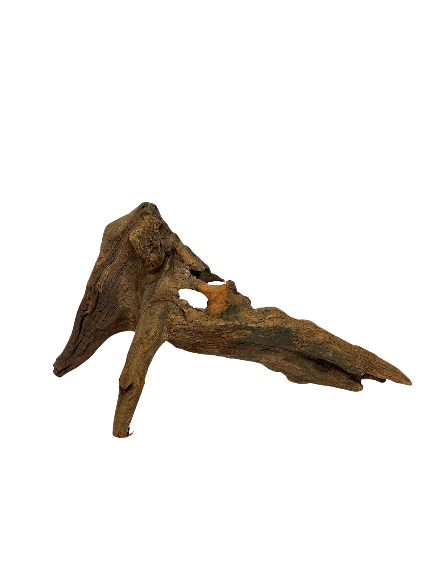 Tronco decorativo natural