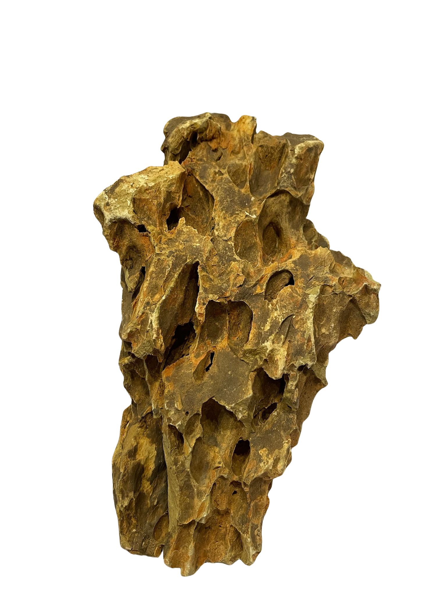 Roca decorativa natural