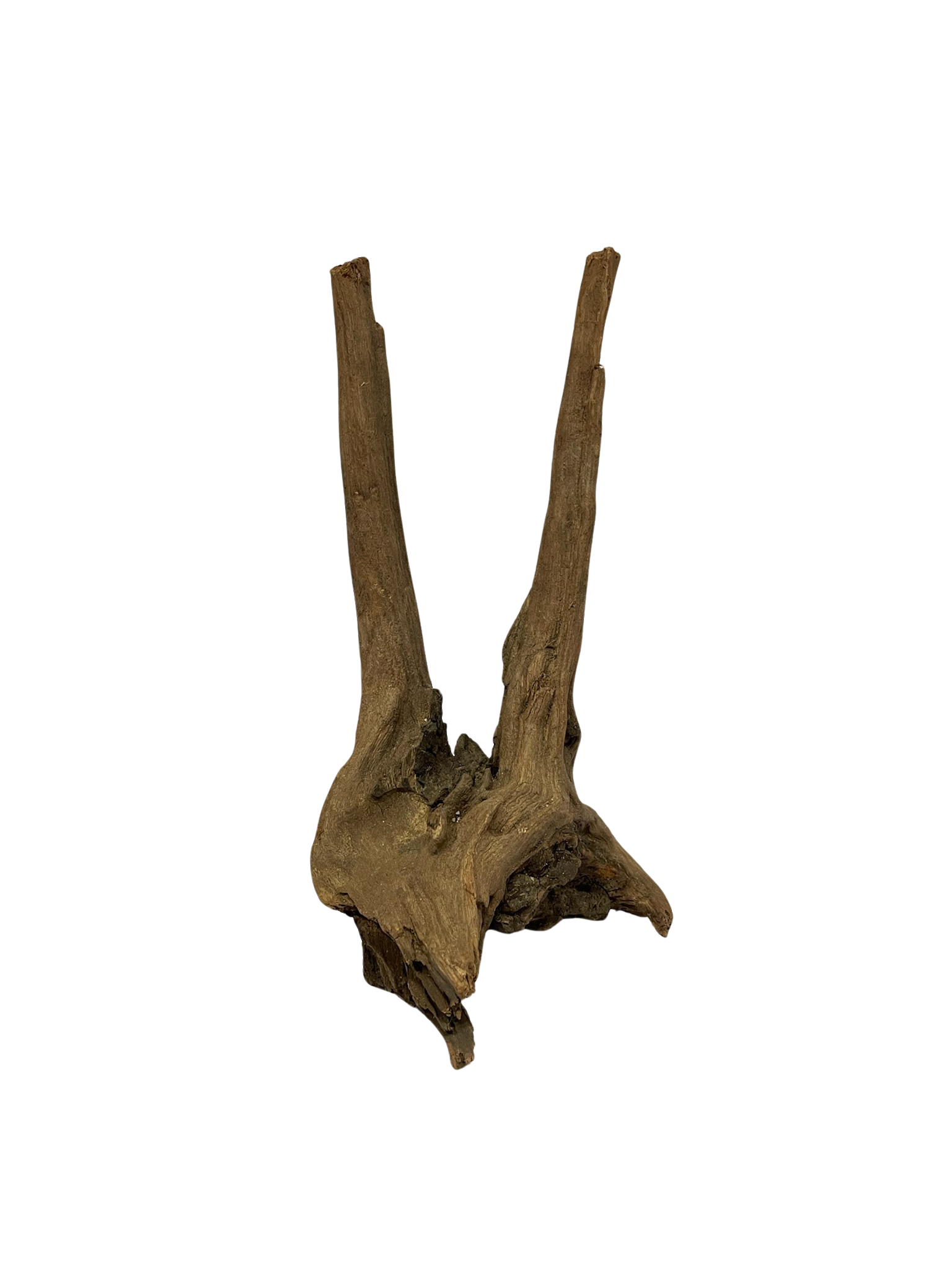 Tronco decorativo natural