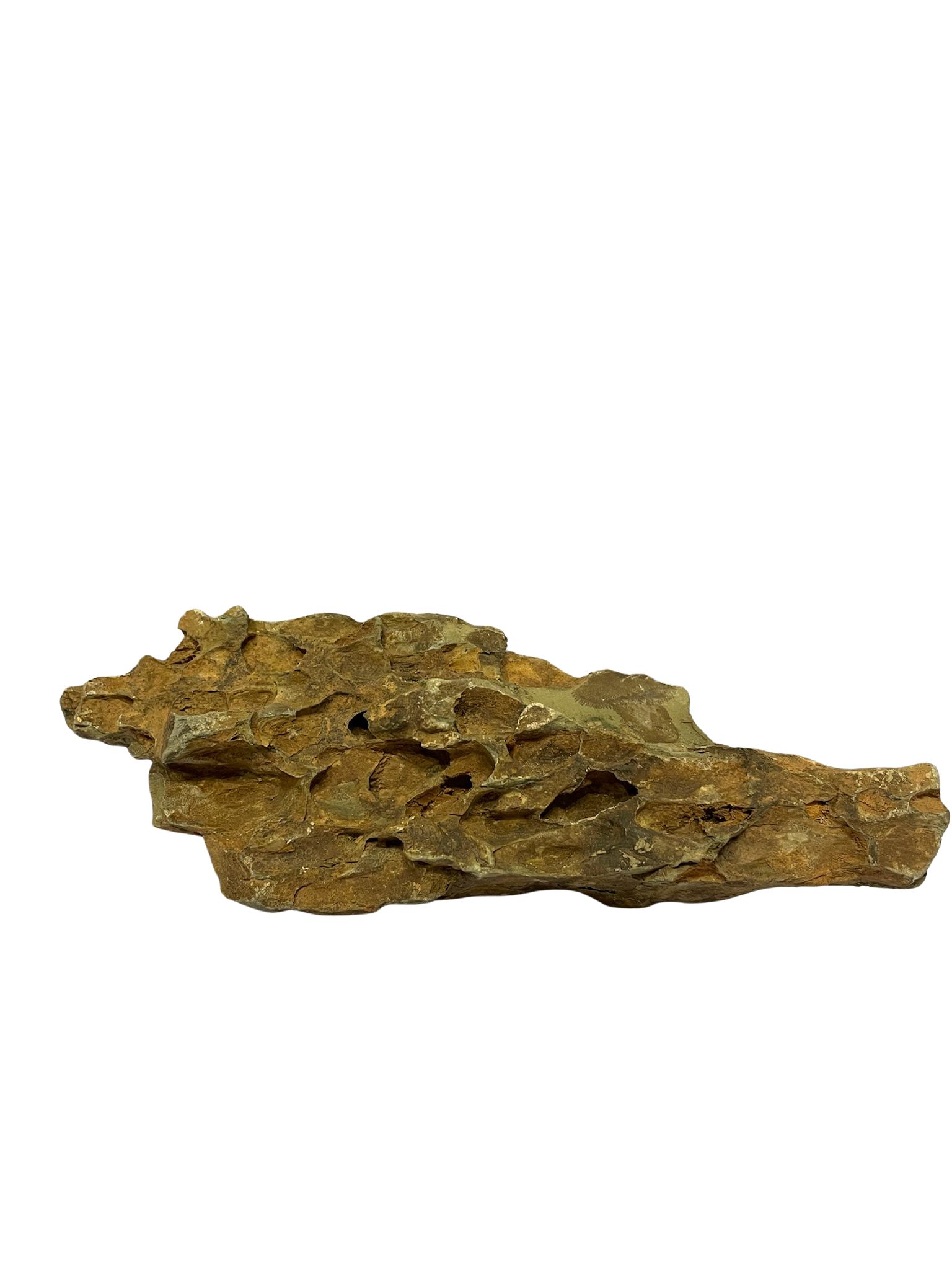 Roca decorativa natural