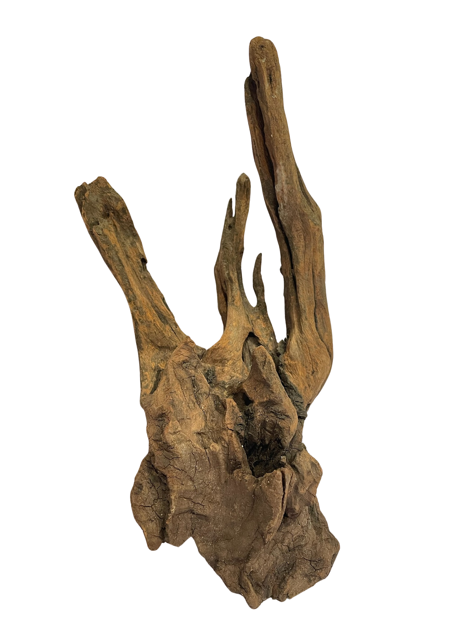 Tronco decorativo natural