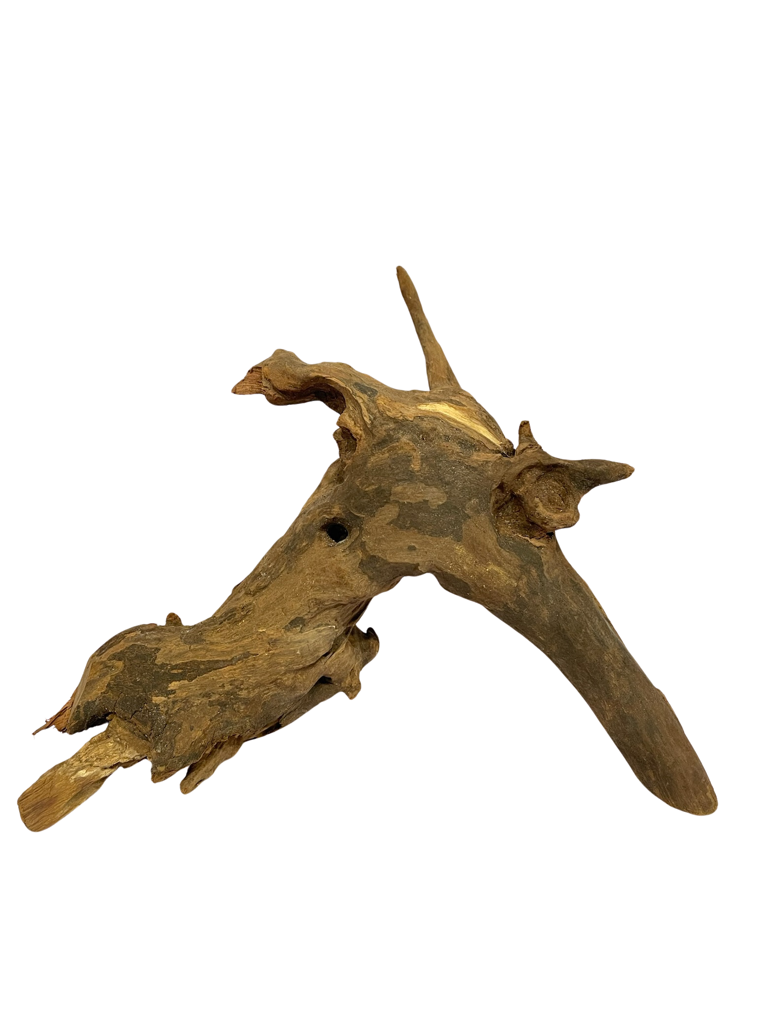 Tronco decorativo natural