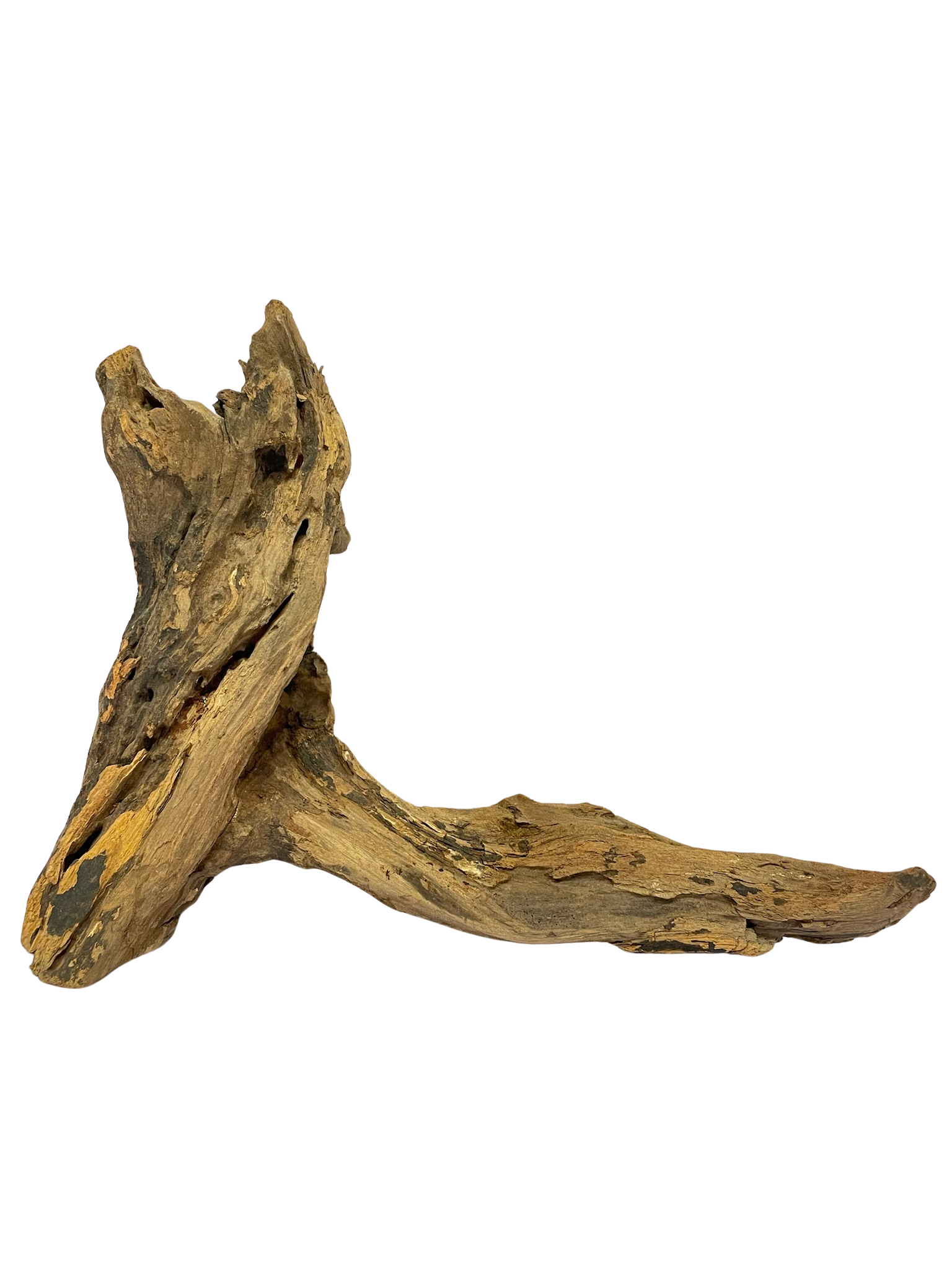 Tronco decorativo natural