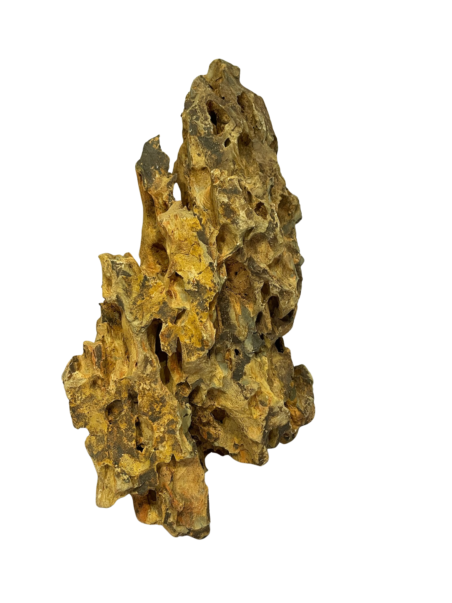 Roca decorativa natural