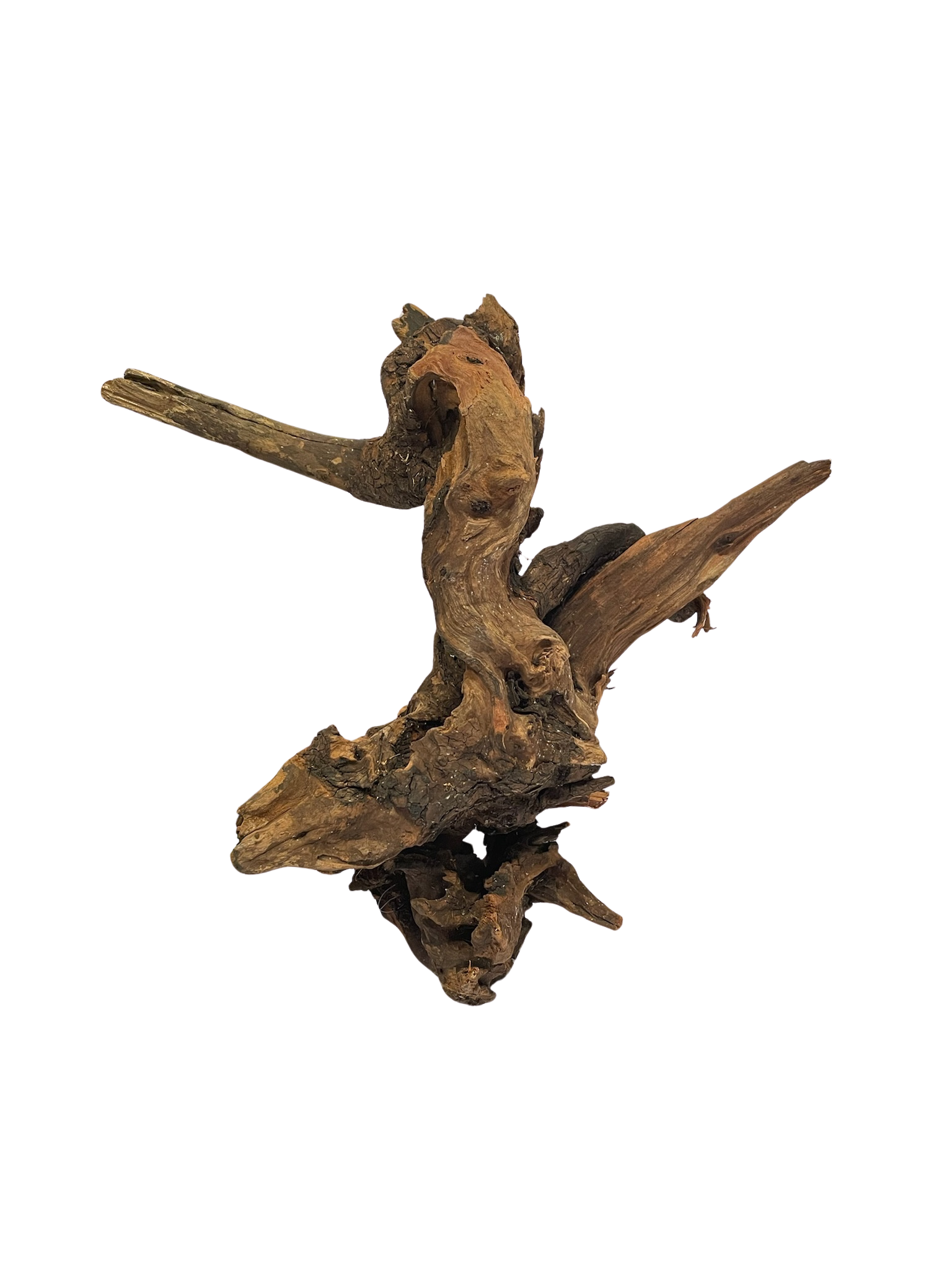 Tronco decorativo natural