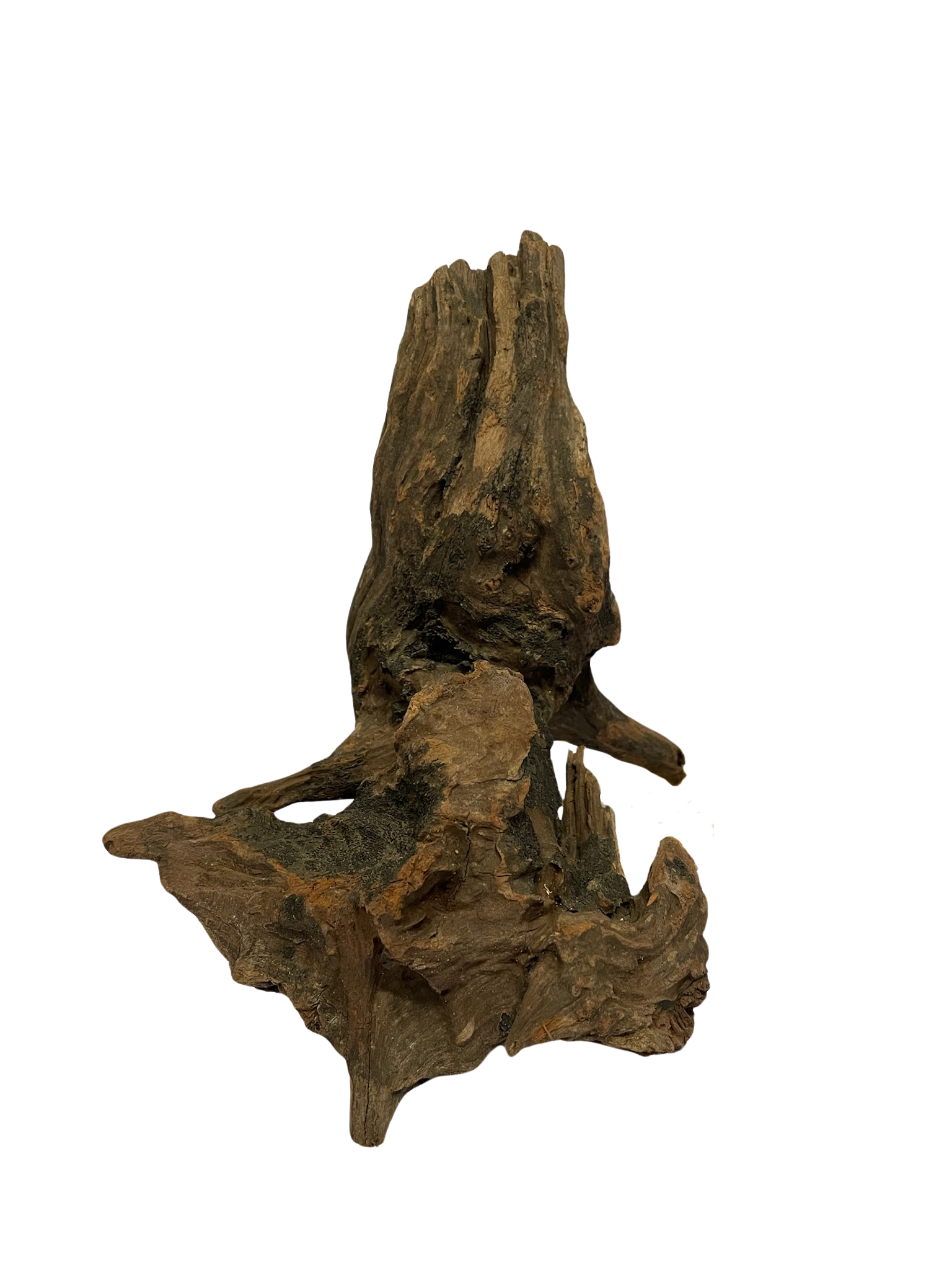 Tronco decorativo natural