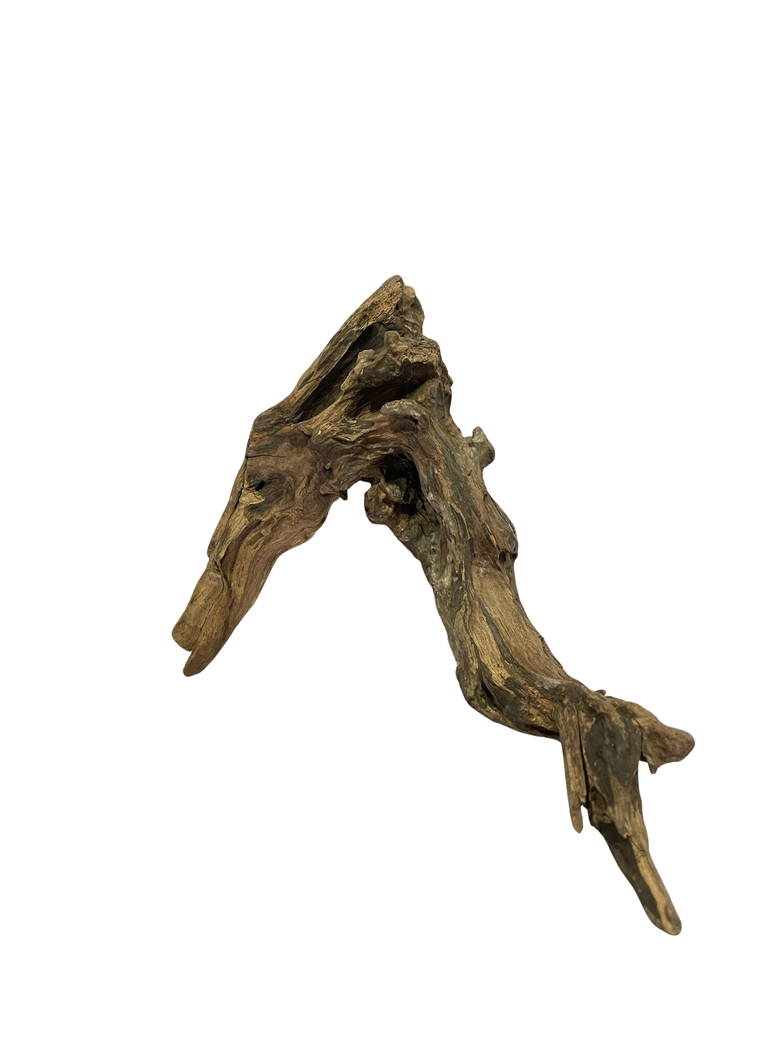 Tronco decorativo natural