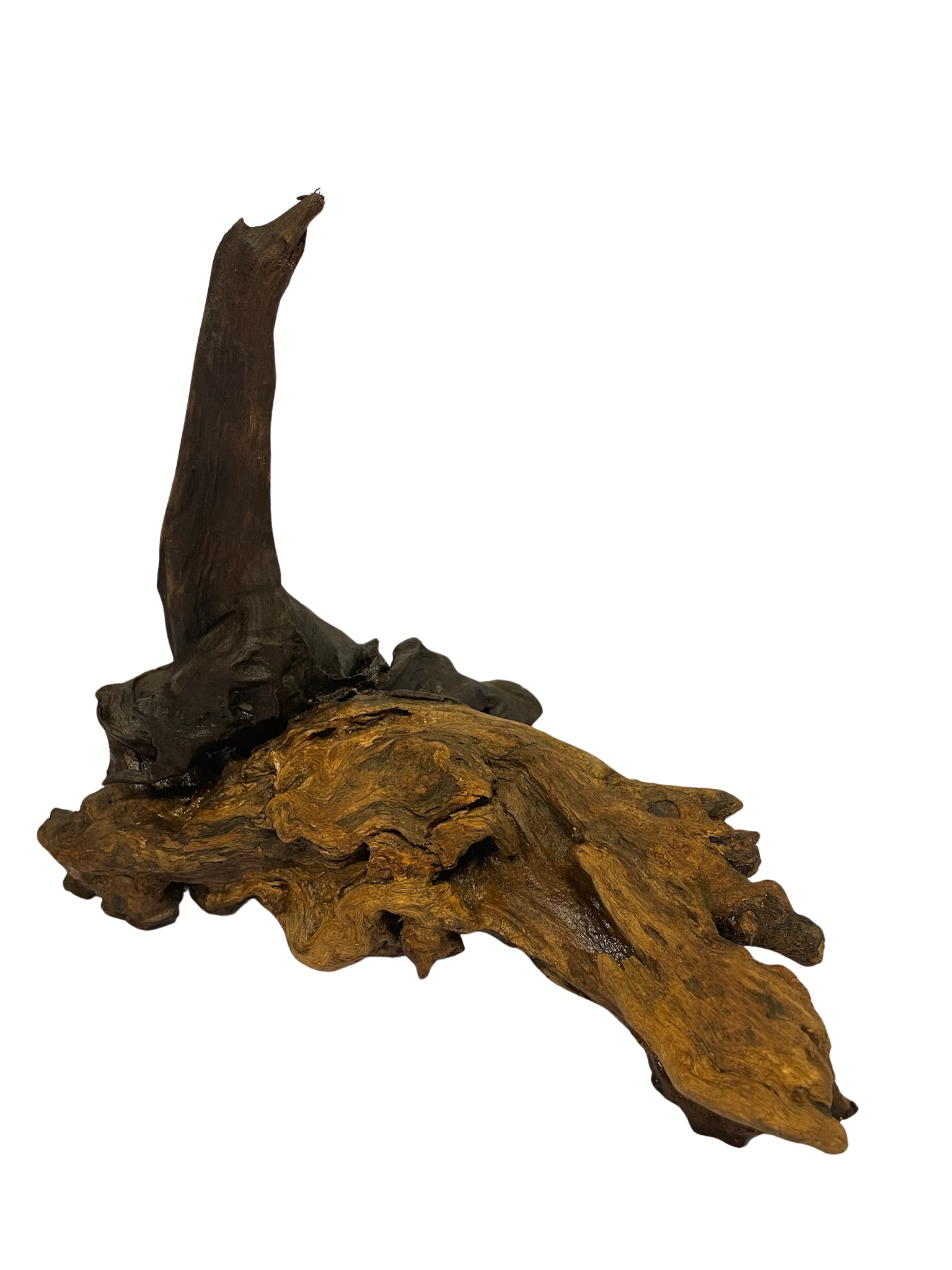 Tronco decorativo natural