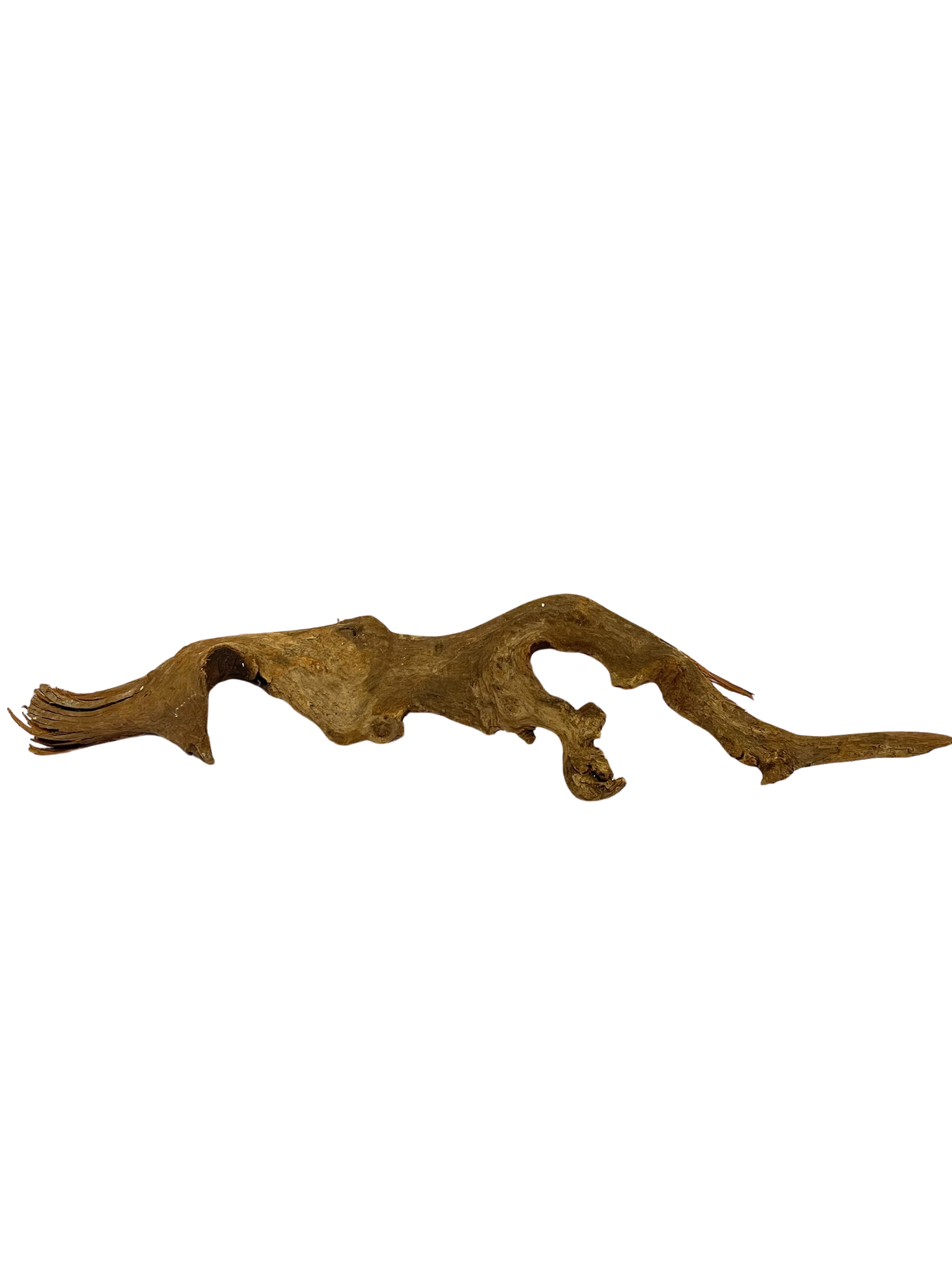 Tronco decorativo natural