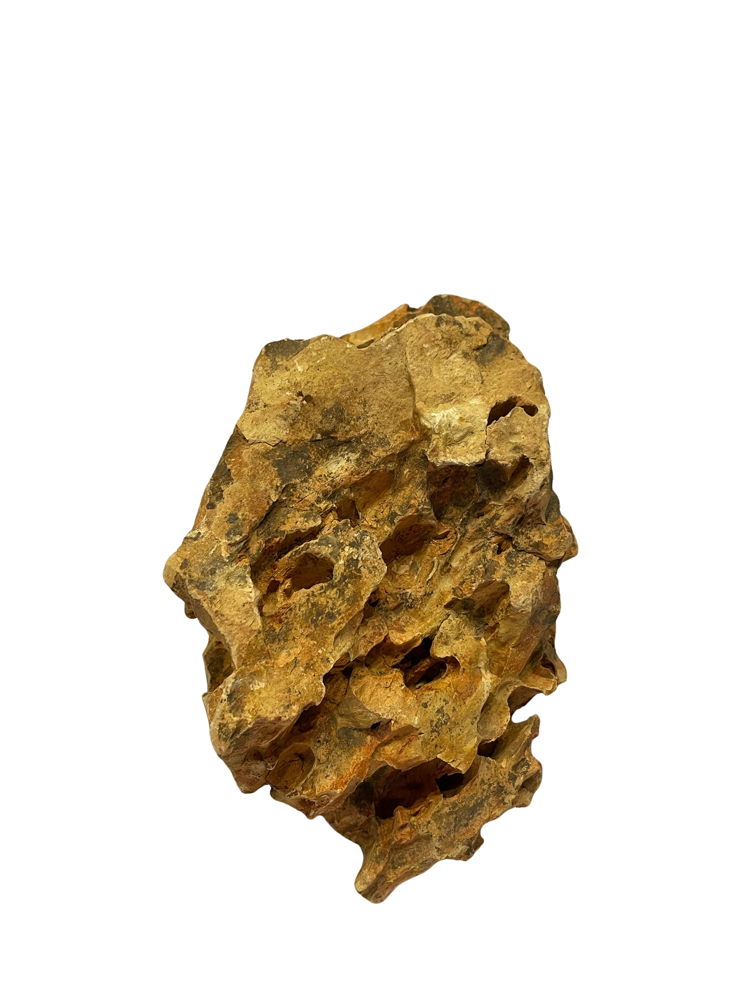 Roca decorativa natural