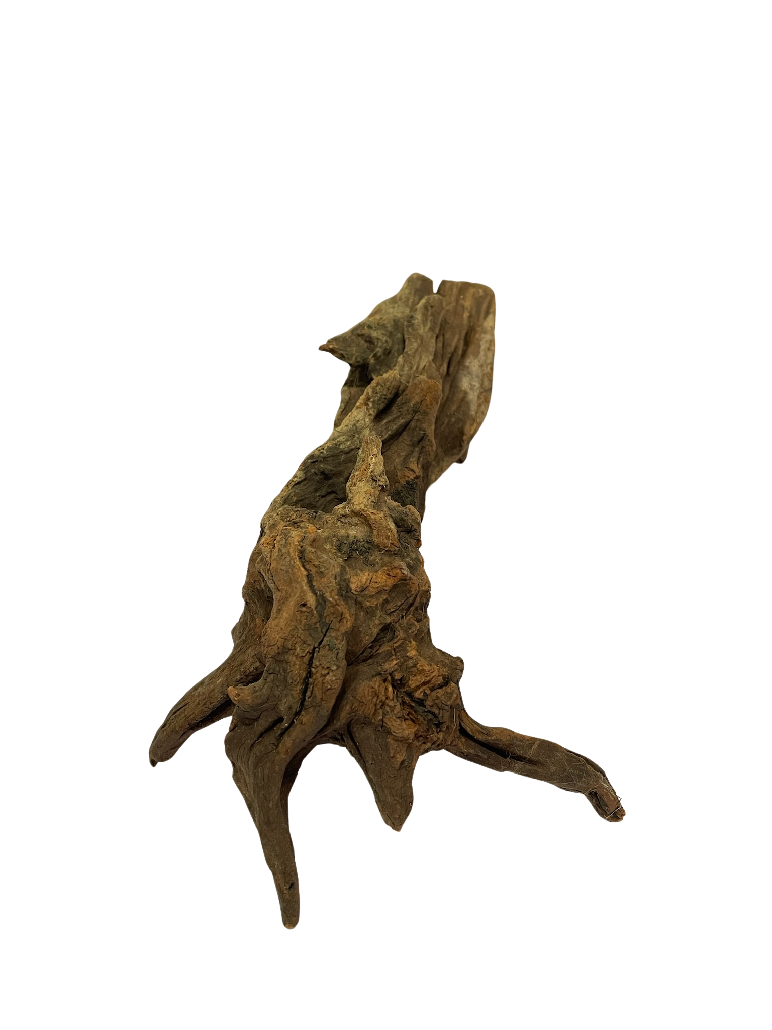 Tronco decorativo natural