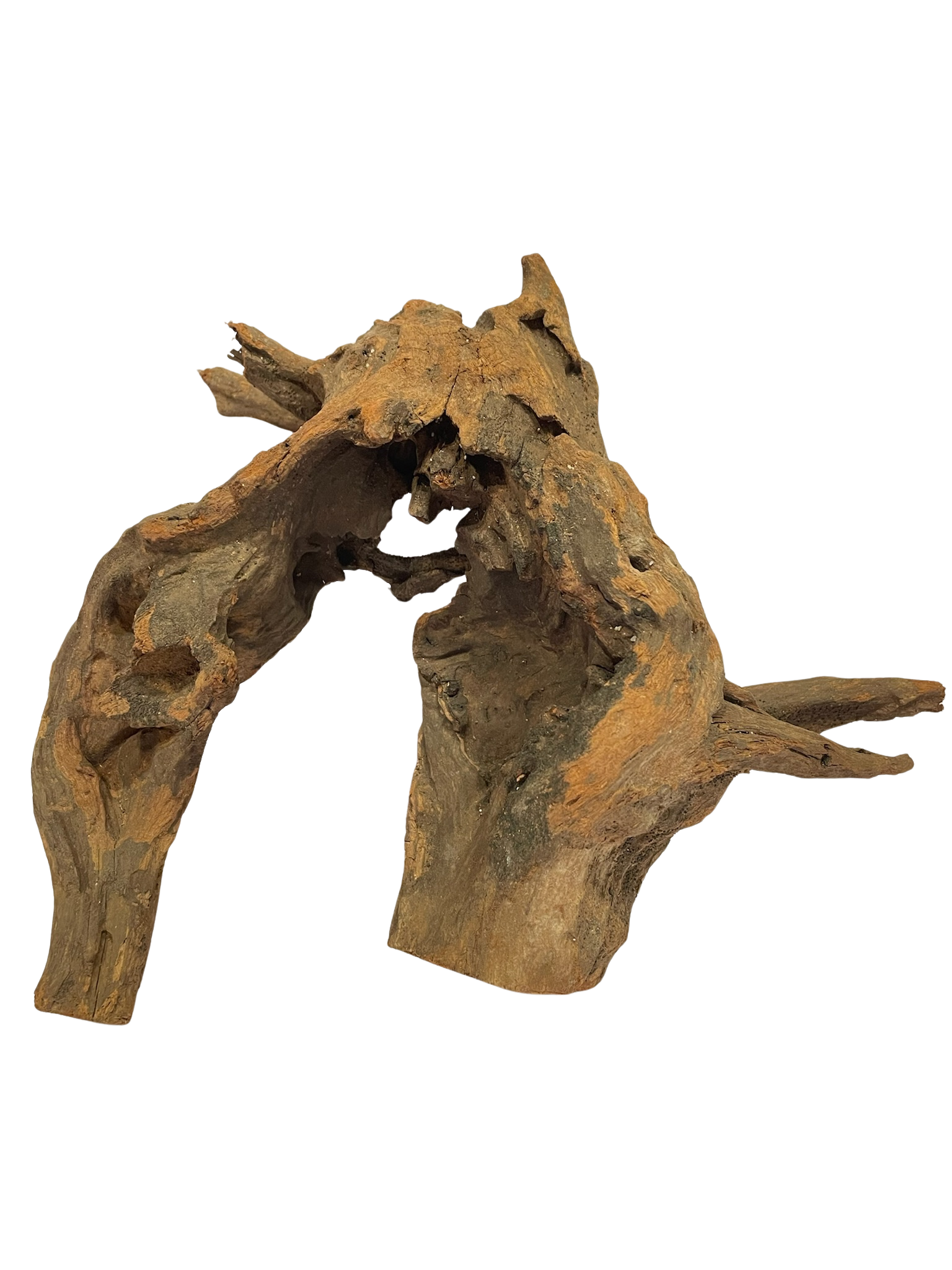 Tronco decorativo natural